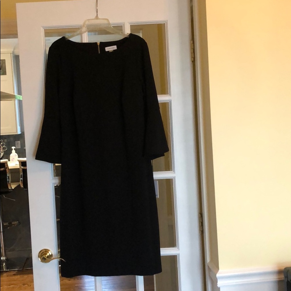 Gorgeous Calvin Klein Dress with peplum sleeves